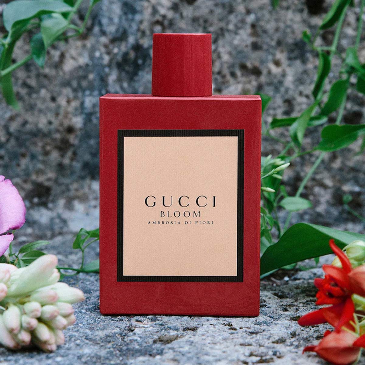 Nước hoa hương hoa cỏ Gucci Bloom Ambrosia Di Fiori