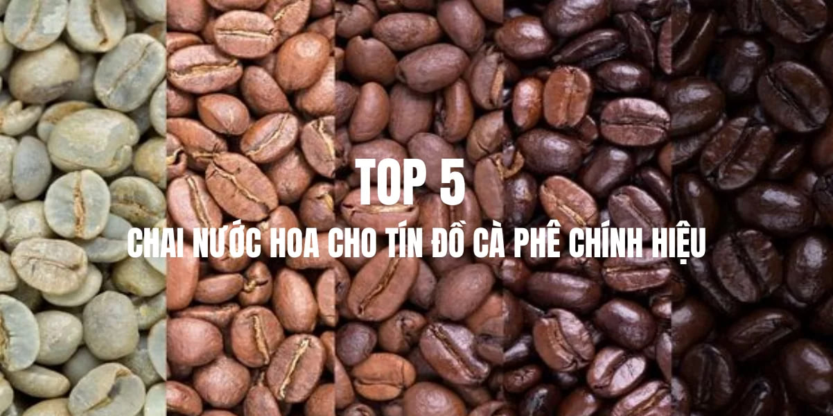 Top 5 Chai Nước Hoa Coffee