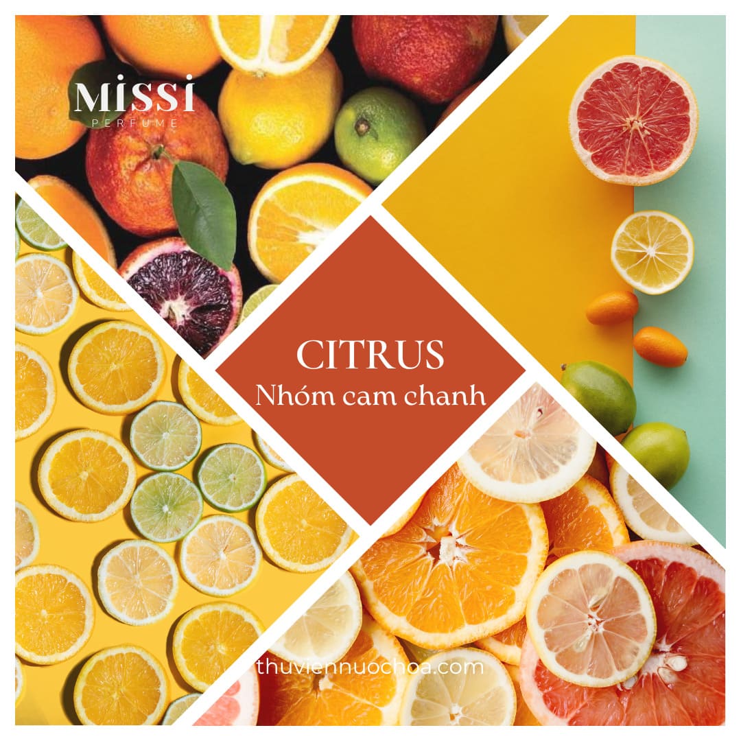 Citrus - Missi Perfume